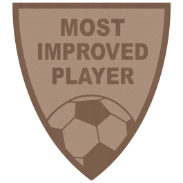 Souvenir en 3 couleurs (réf. X620)