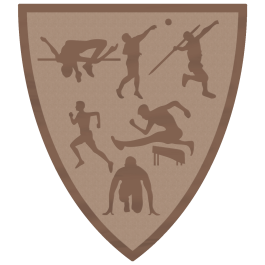 Souvenir en 3 couleurs (réf. Q165GS)