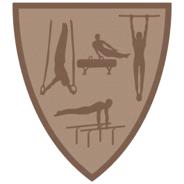 Souvenir en 3 couleurs (réf. Q165GS)