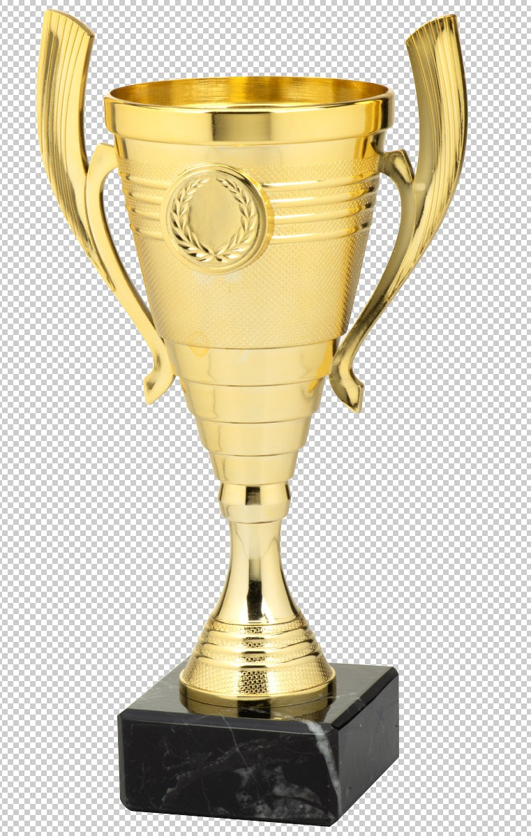 Coupe en 3 couleurs (réf. SET.356)