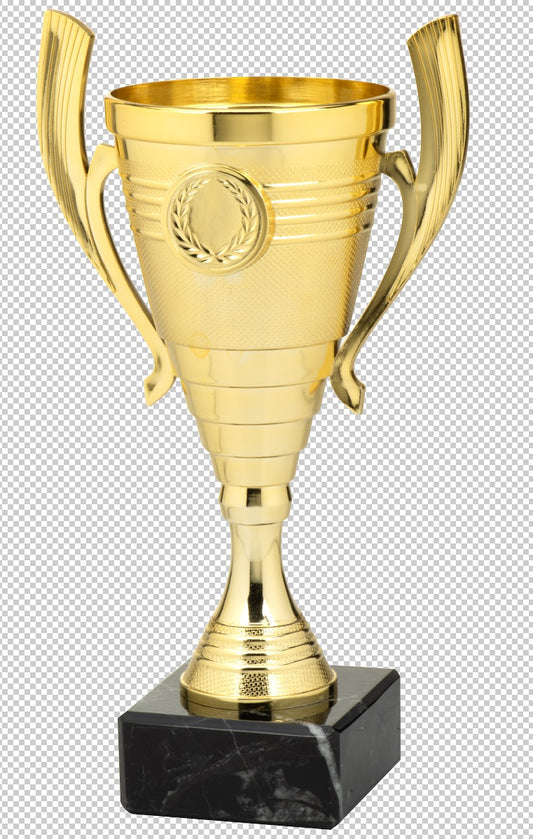 Coupe en 3 couleurs (réf. SET.356)